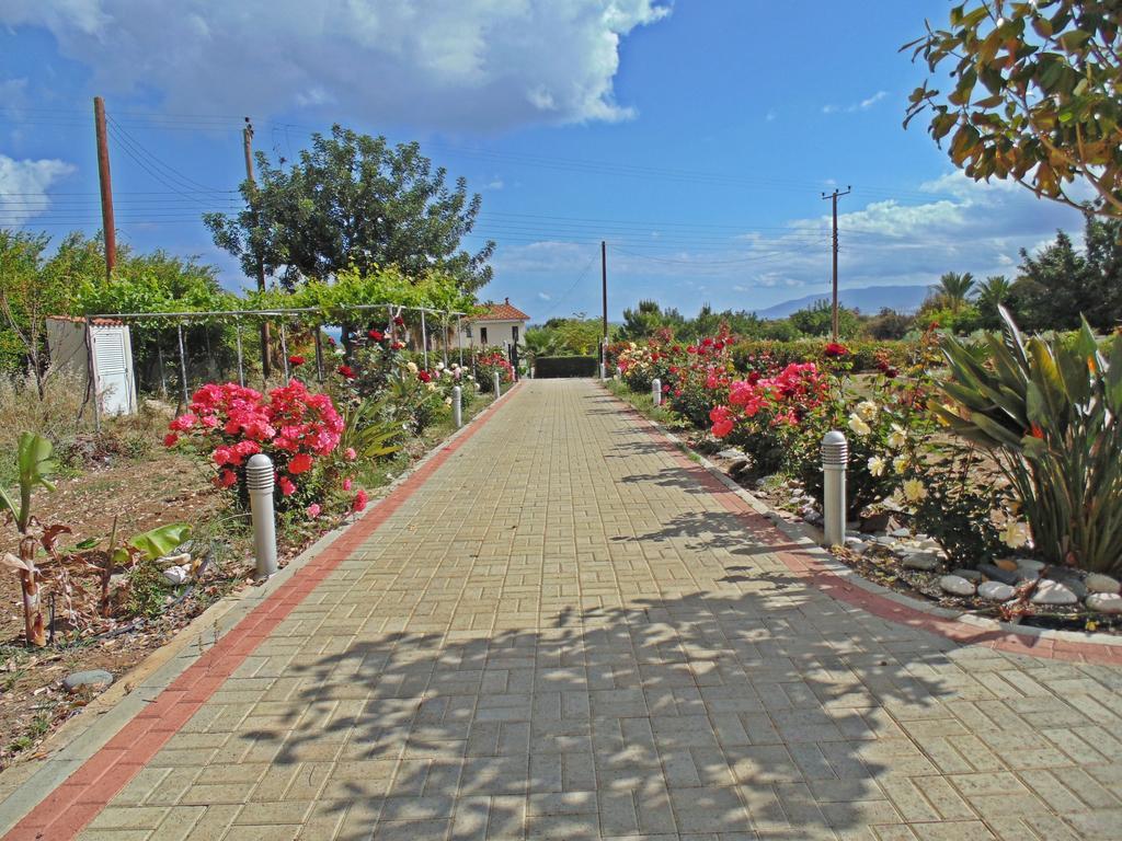 Eliofos Luxury Villa Polis エクステリア 写真